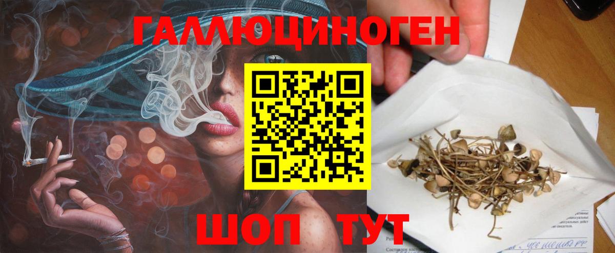 Галлюциногенные грибы Psilocybine cubensis Верхняя Салда